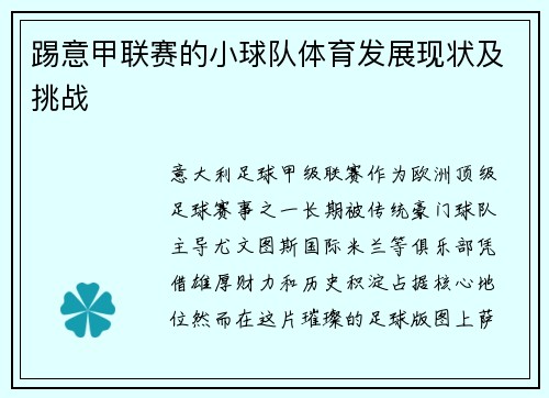 踢意甲联赛的小球队体育发展现状及挑战